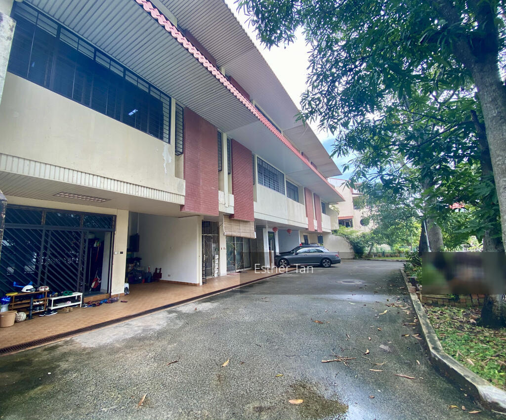 Neo Pee Teck Lane (D5), Terrace #270306191
